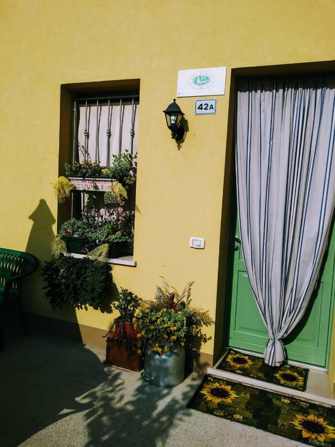 B&B Peschi In Fiore Valeggio sul Mincio Εξωτερικό φωτογραφία