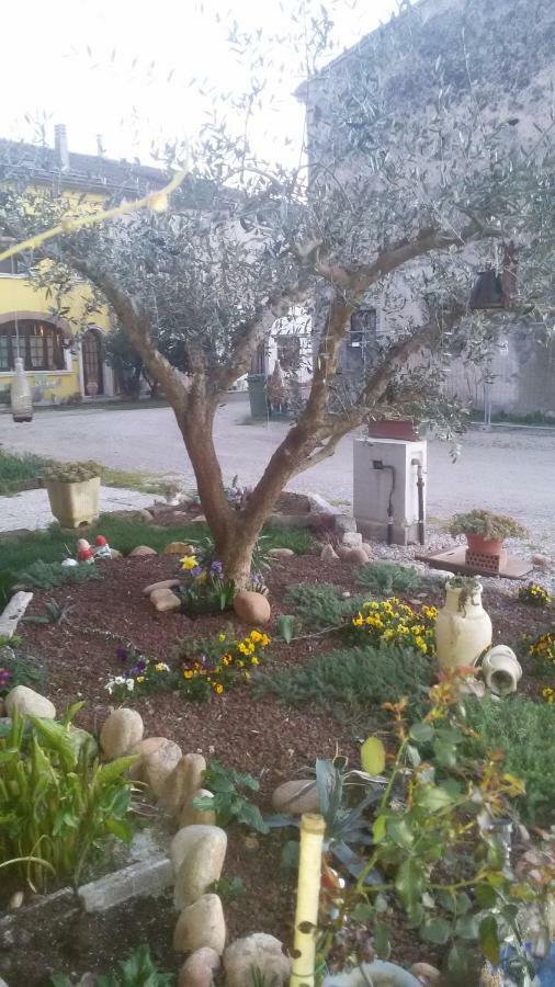B&B Peschi In Fiore Valeggio sul Mincio Εξωτερικό φωτογραφία